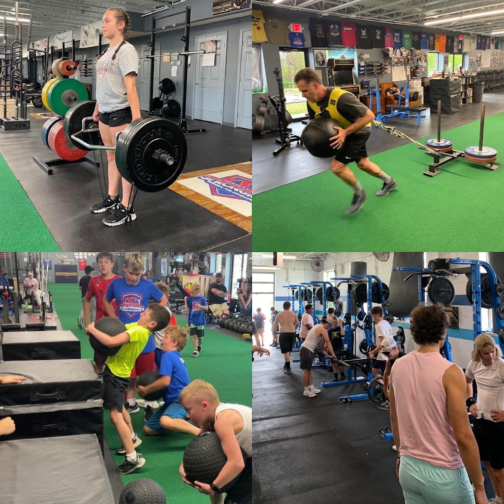  Viking Performance Training LLC