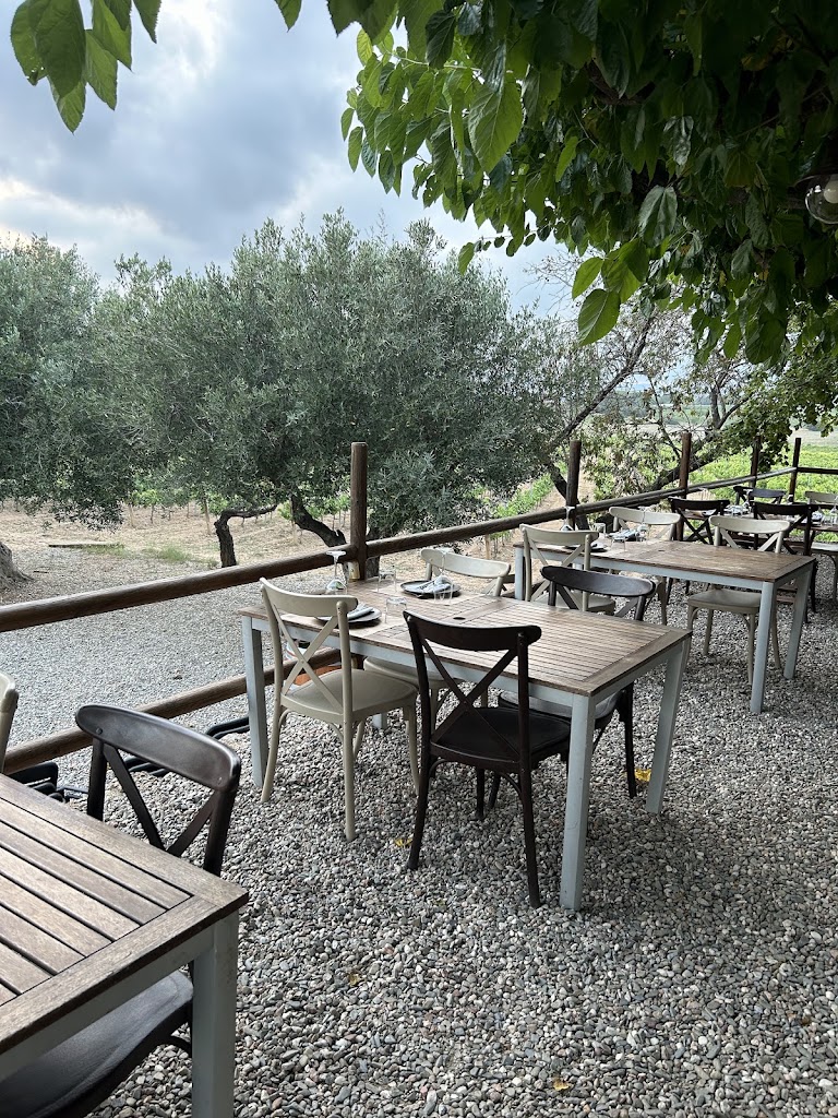 Coll de Nulles — Ambiente