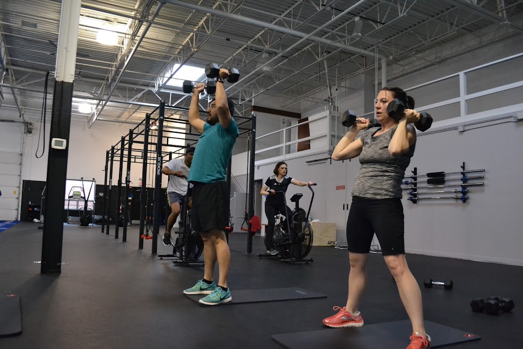  APX Sports and Fitness