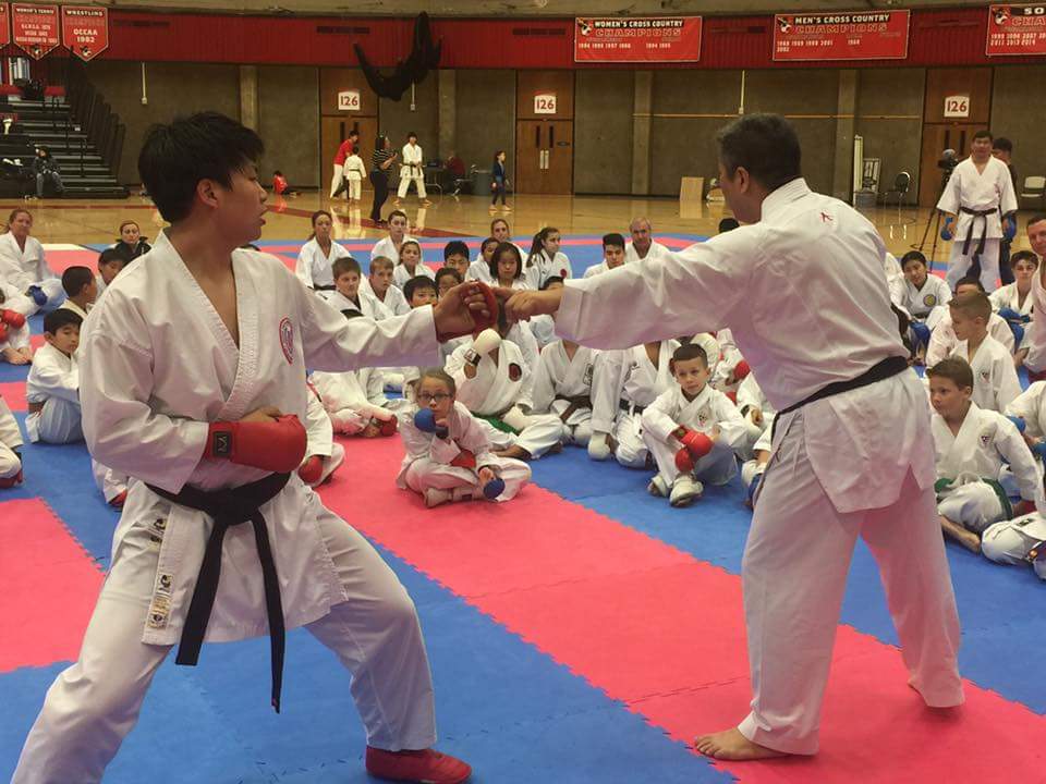  World of Martial Arts, LLC