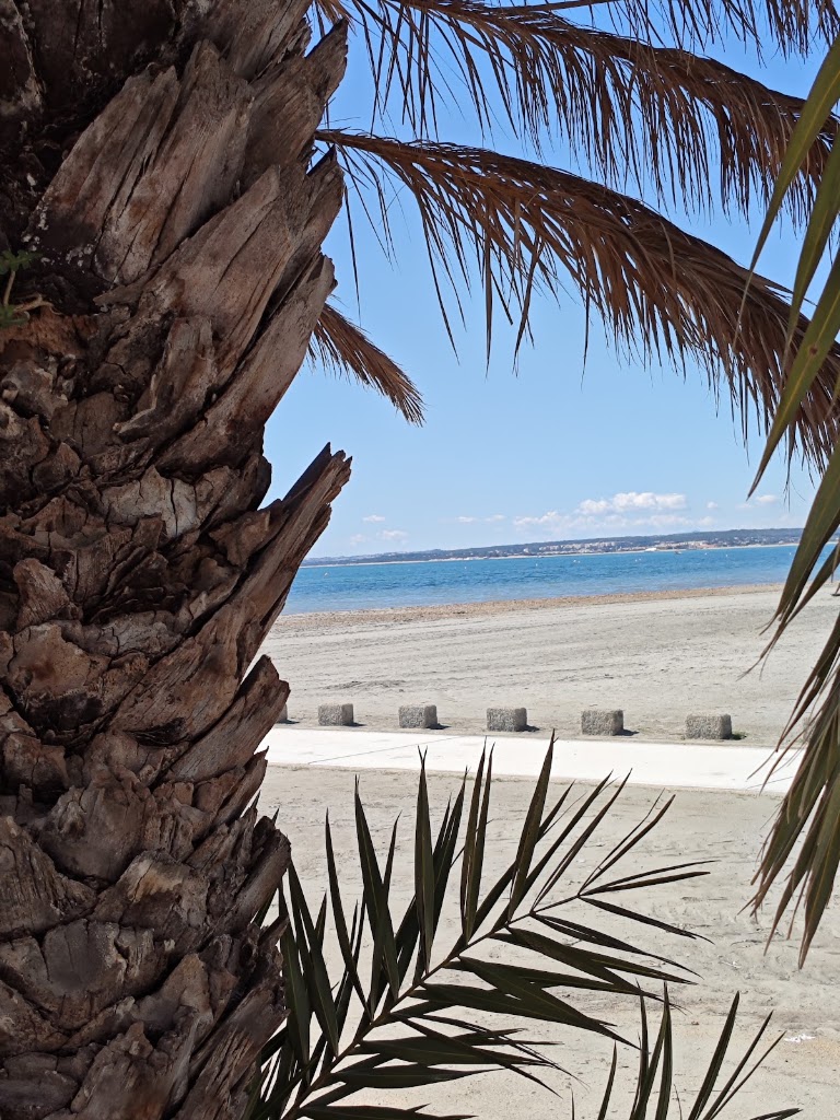 La Calle — Mas recientes