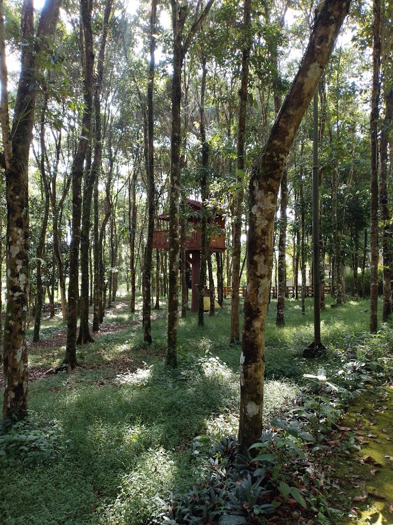Hutan Kota Tomohon