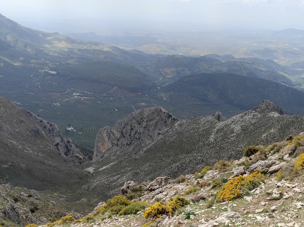 Puerto del Cerezo
