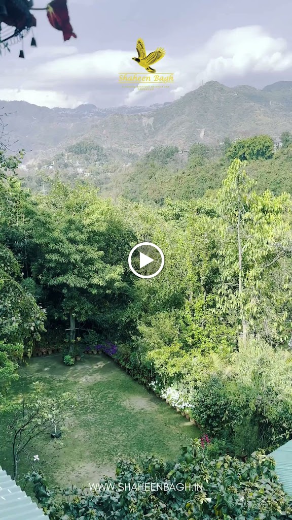 Videos