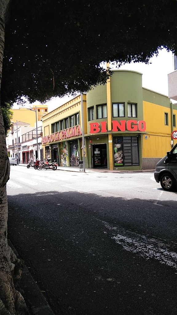 Bingo La Palma