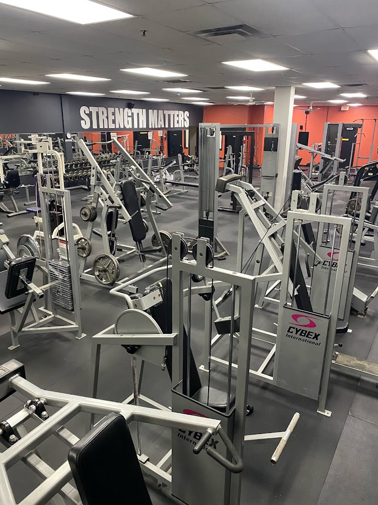  Forza Amelia Fitness