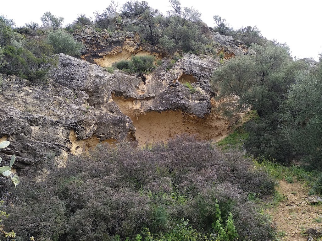 Tajos de mogarejo