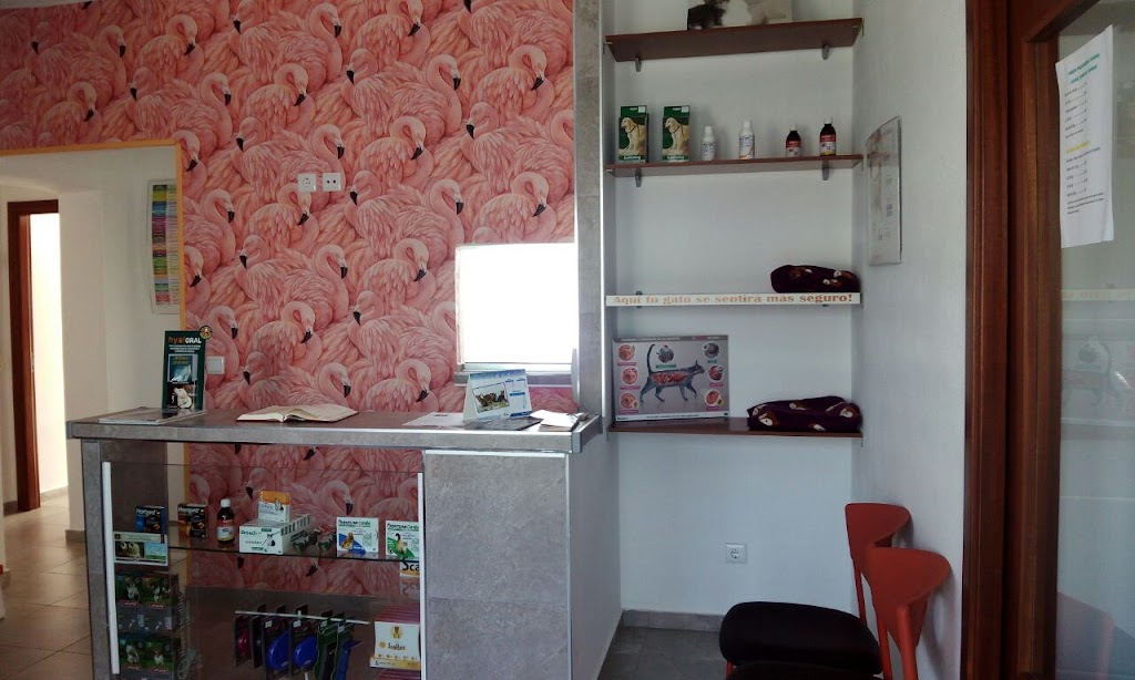 Clinica Veterinaria DeLi