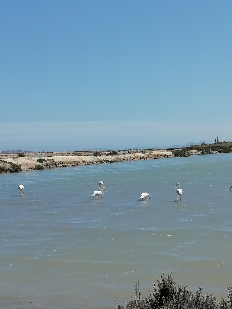 La Isla restaurante — Del propietario