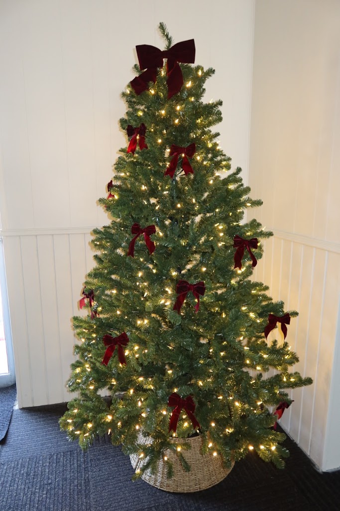  Puppies and PiLattes