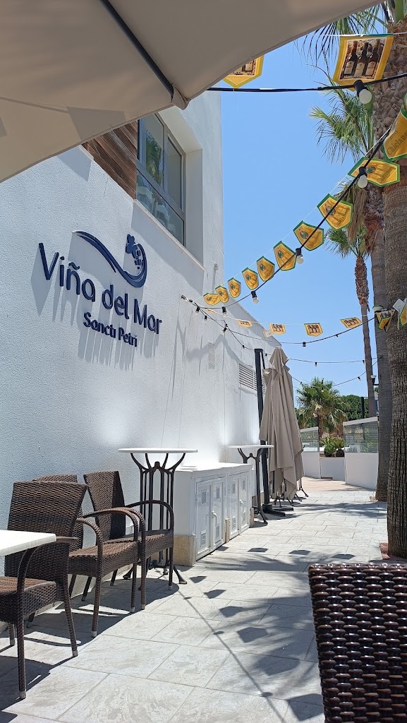 Vina del Mar Sancti Petri — Ambiente