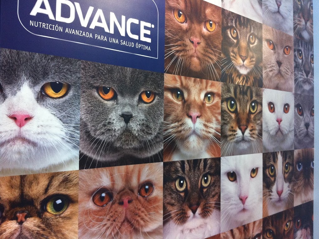 Clinica Veterinaria Zaragoza