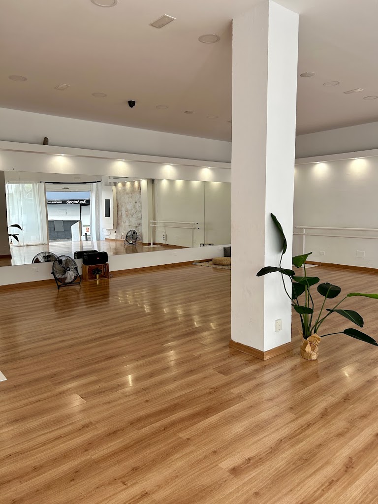 Estudio de Danza Hayati