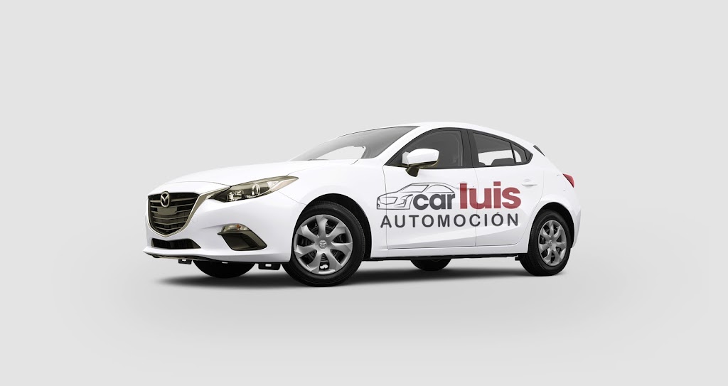 CARLUIS Automocion — Del propietario