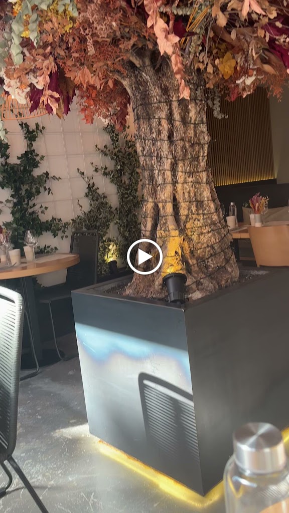 Mint Restaurant — Ambiente