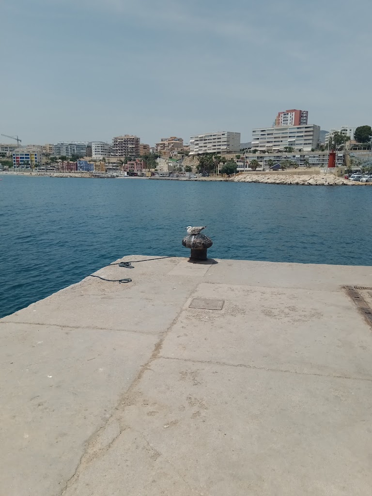 Gasolinera Del Puerto De La Vila