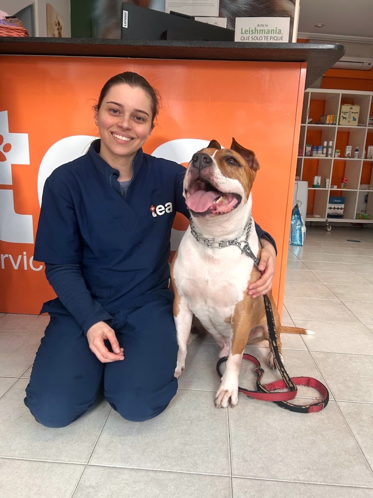 Clinica Veterinaria Tea Porrino — Del propietario