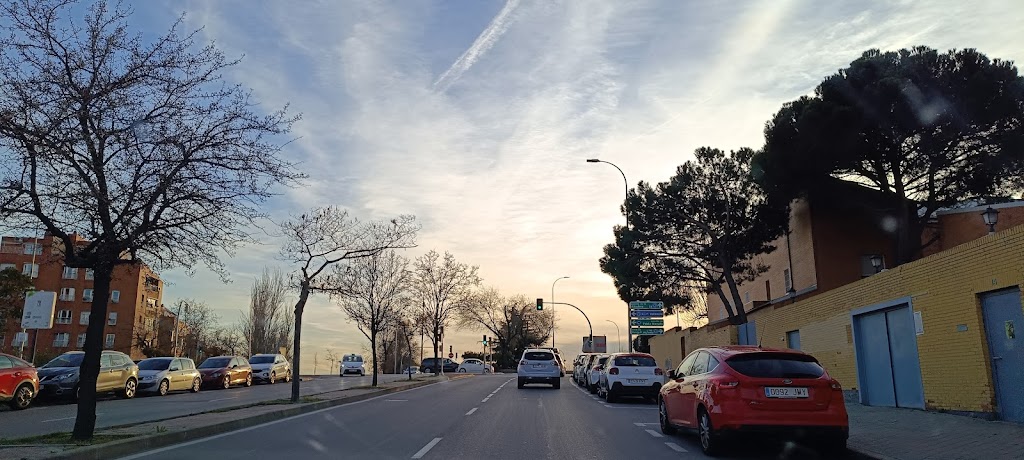 Armonia Y Belleza