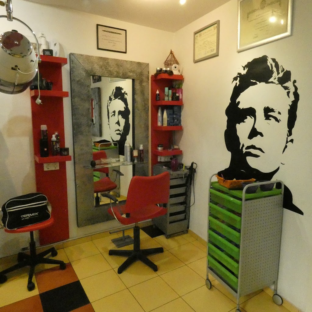 Salon de Peluqueria Zeus — Interior