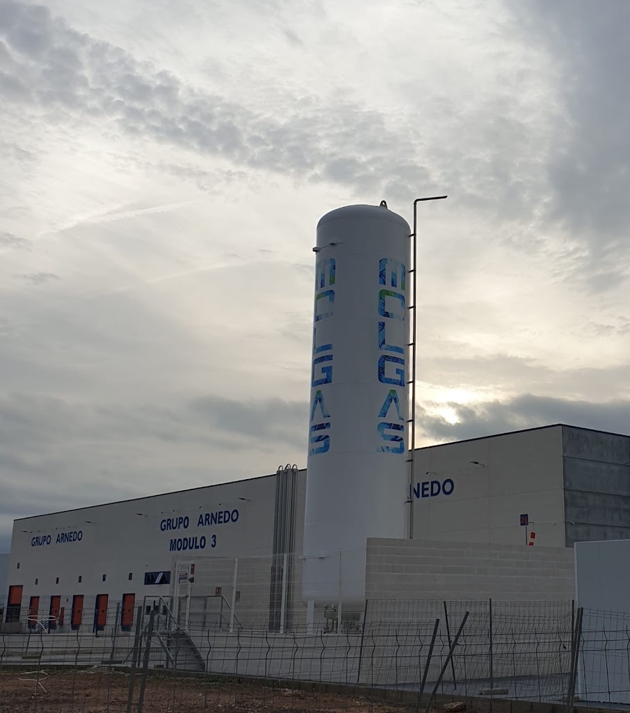 MOLGAS GNL Sagunto — Del propietario