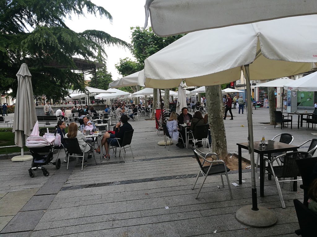 Oasis Bar — Ambiente