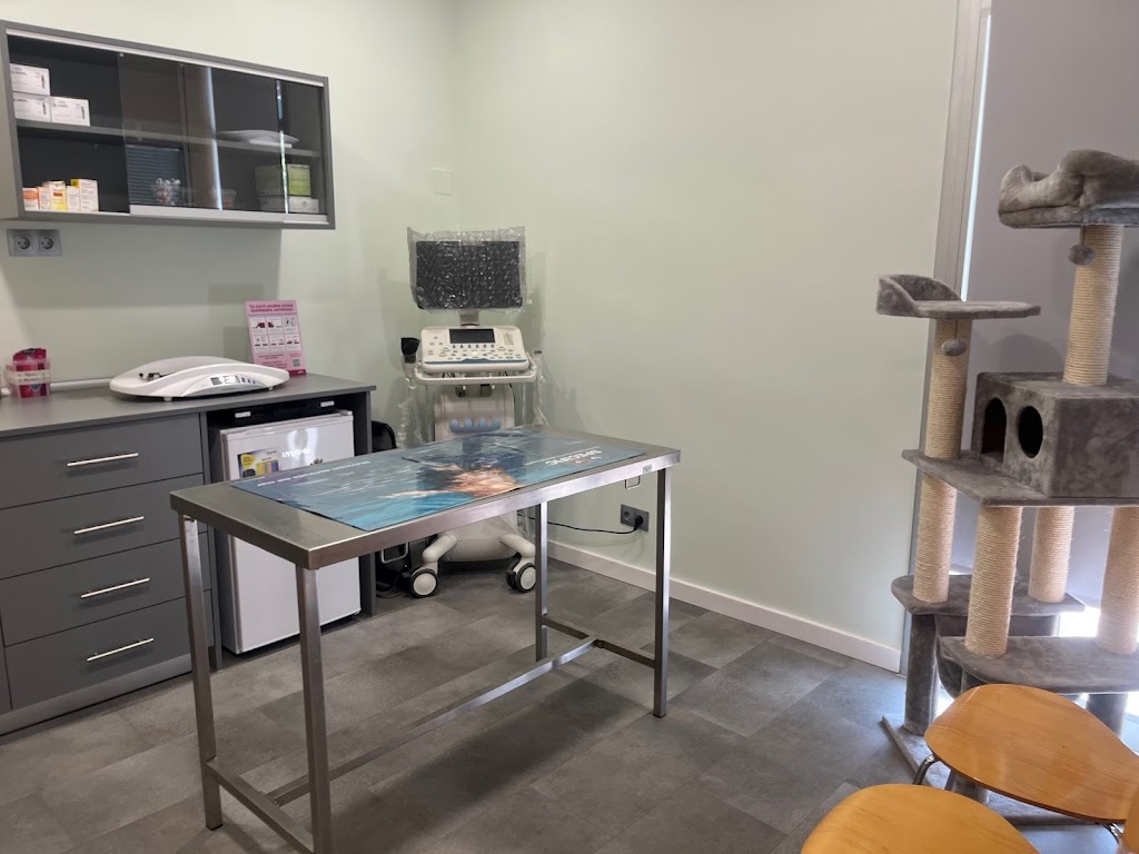 Clinica veterinaria Sant Andreu — Todas