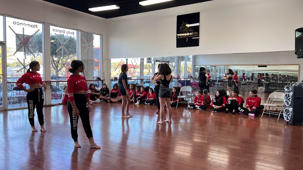  Mundo Arte Tampa LLC