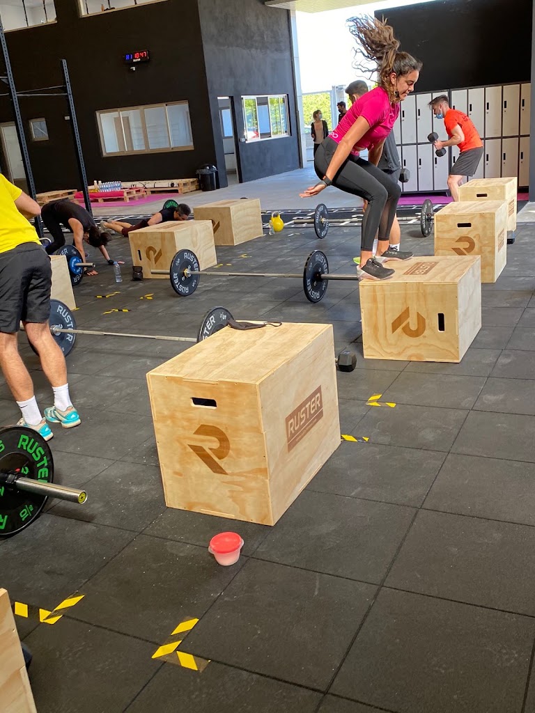 Mapache Training Club — Ejercicio fisico