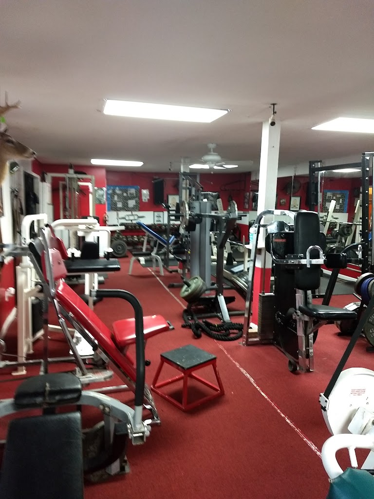  Swolls gym