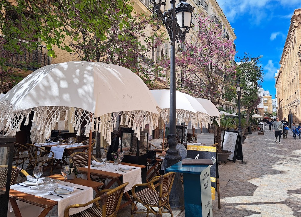 La Bodeguita de Plocia