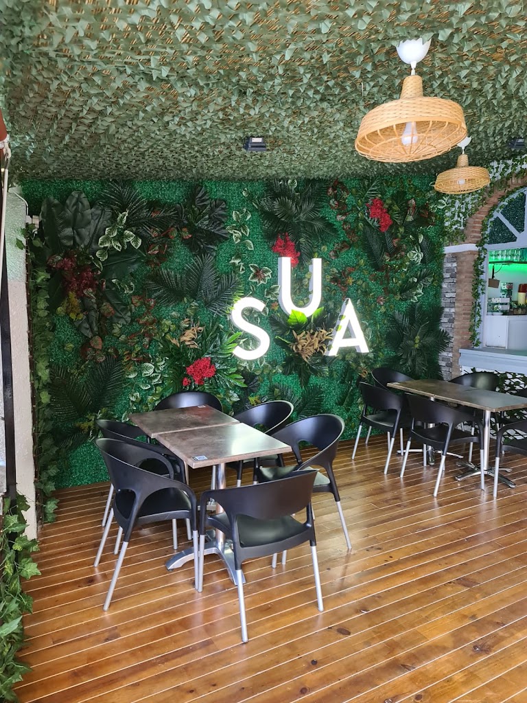 SUA Lounge — Ambiente