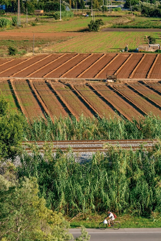 Parque Agrario del Bajo Llobregat