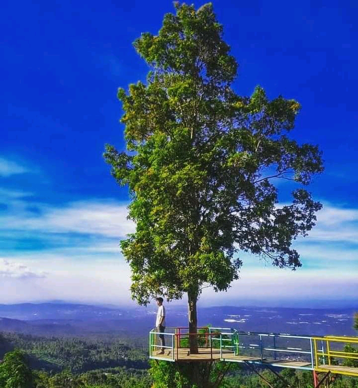 camping ground dan out bound timboa