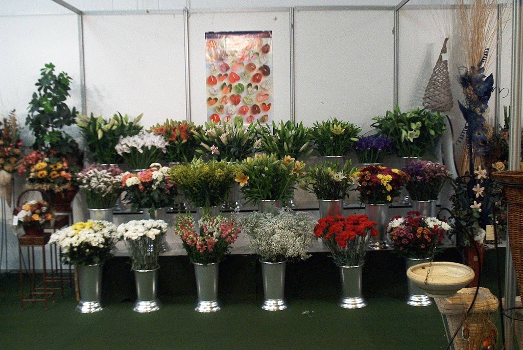 VIVEROS JUANJO DE LAS VEGAS BAJAS DEL GUADIANA SL