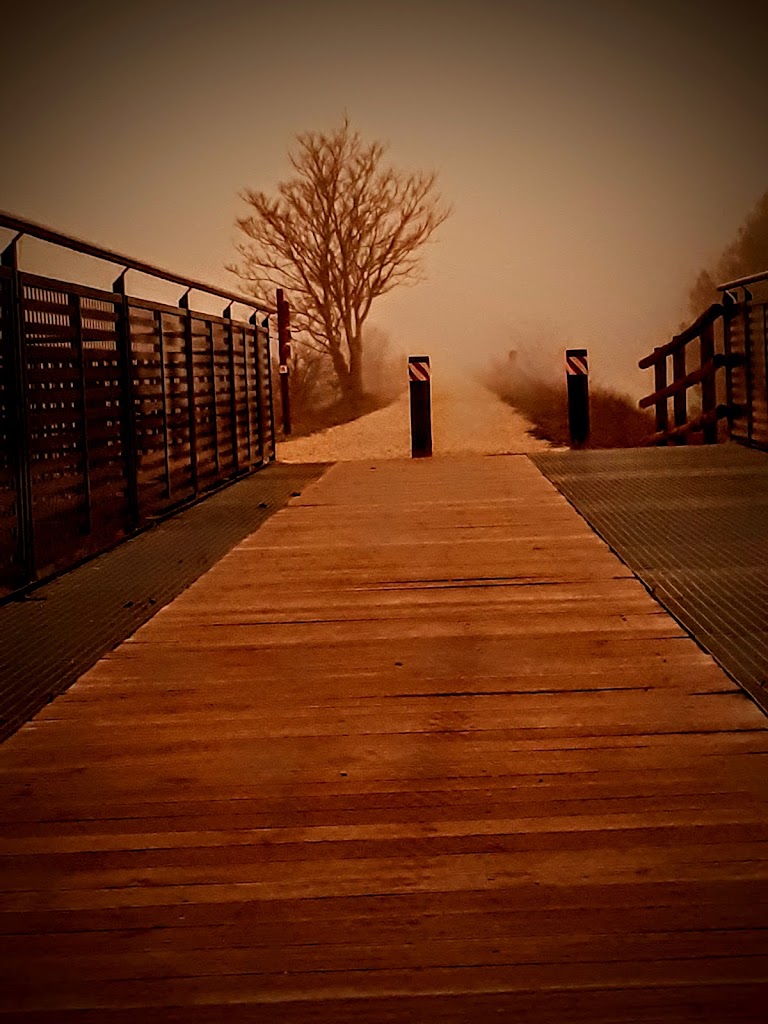 Puente Camino Natural sobre Rio Jalon