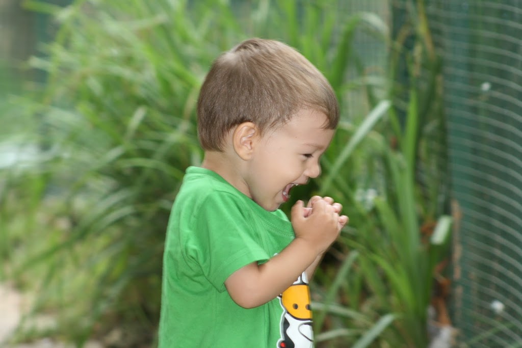 CEIP Profesor Tierno Galvan. Vicar. ALMERIA.