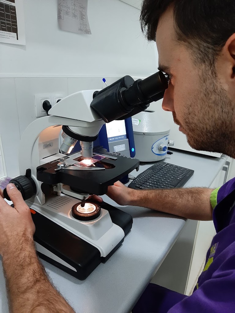 Veterinaria clinica Animelx Altabix — Del propietario