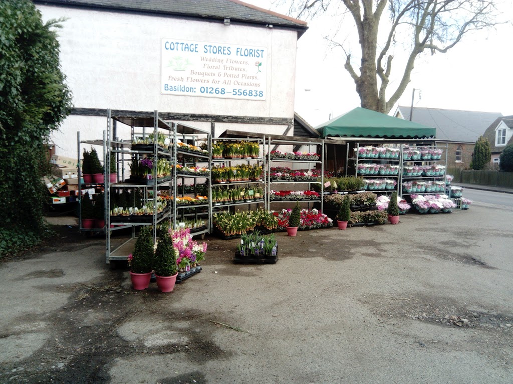 Cottage Stores Florist