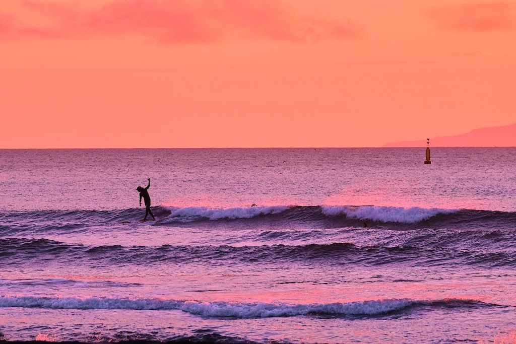 Ocean Fused Training