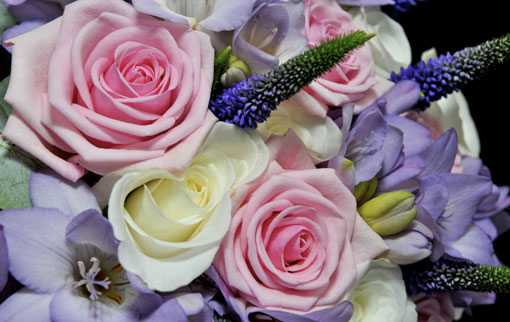 Forever Flowers