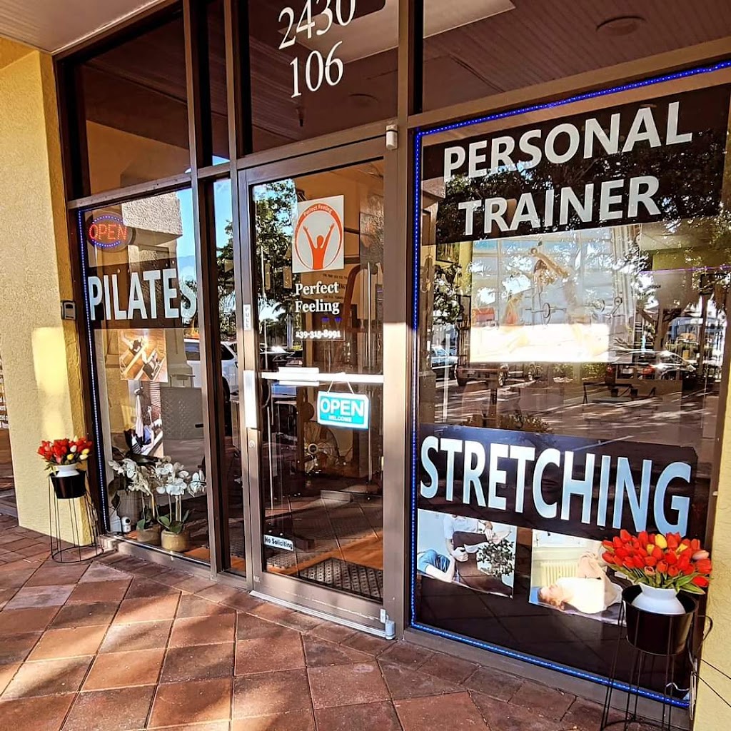  Perfect Feeling (Pilates-Stretching-Personal Trainer)