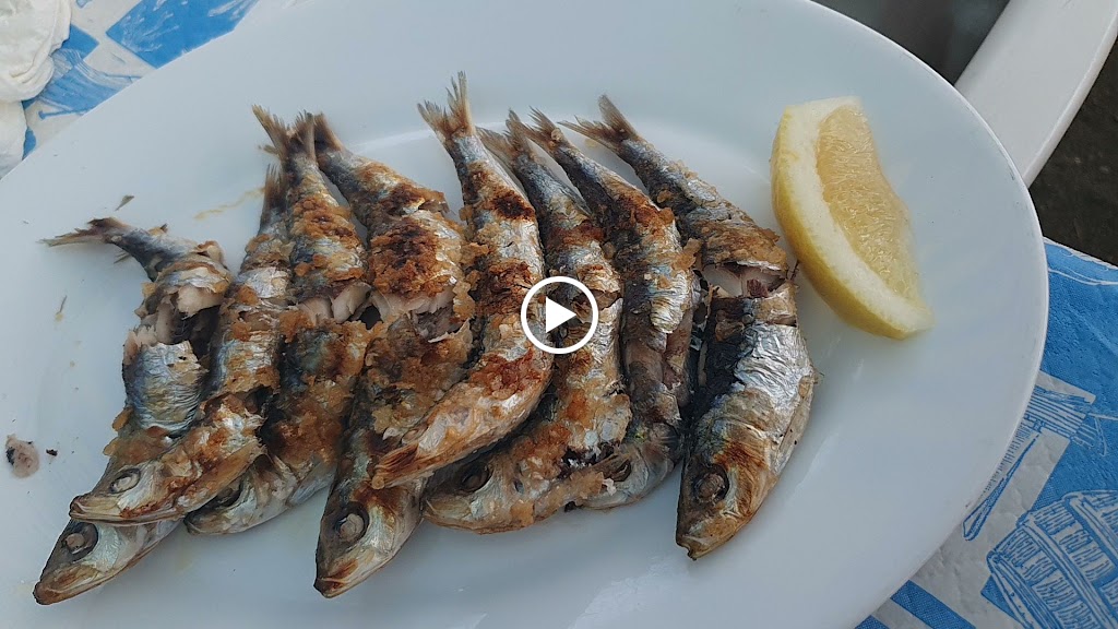 Chiringuito Delfin EL Canito — Videos