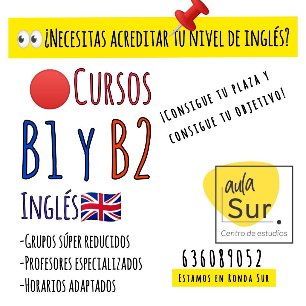 Aula Sur Centro de Estudios — Del propietario
