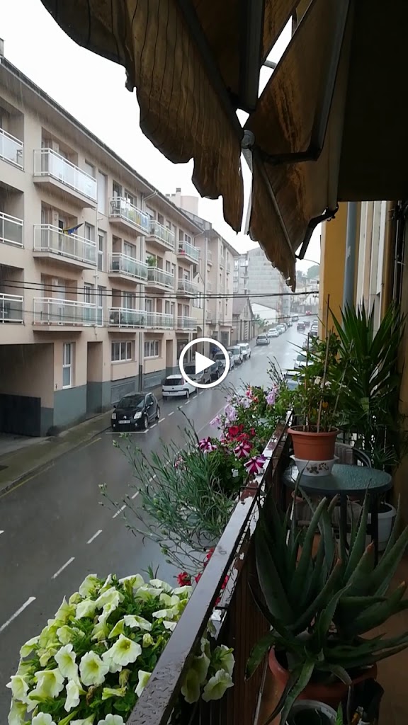 Bar monicar — Videos