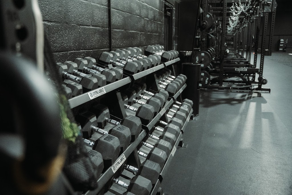  Yo Murphy Performance