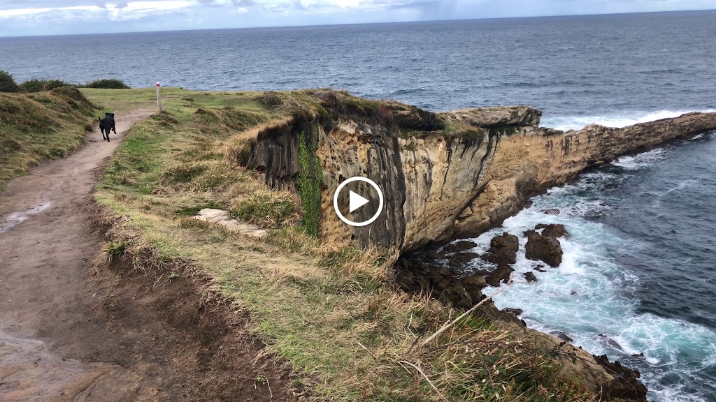 Punta Biosnar — Videos