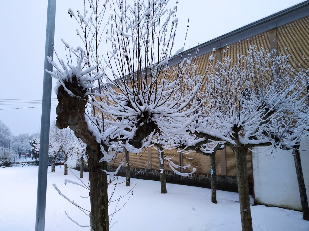 Asociacion Beti Gazte