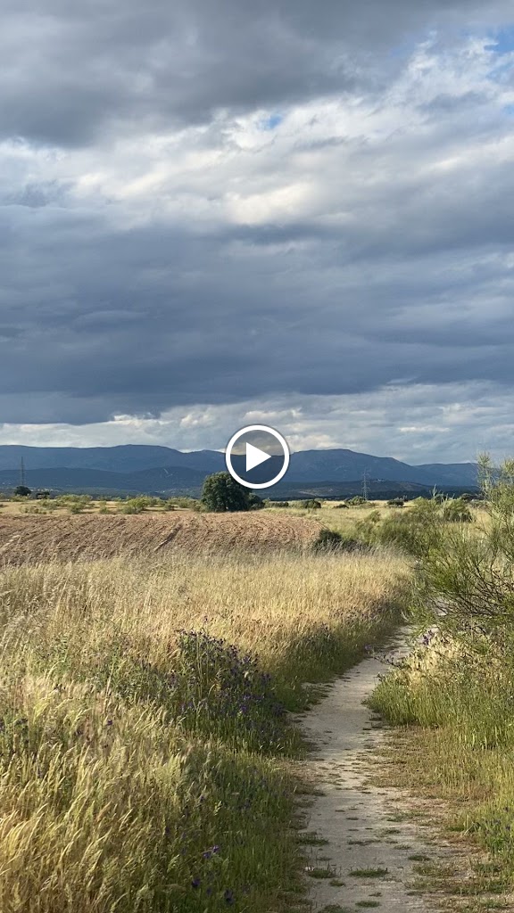 Via Pecuaria Cuenca alta Manzanares