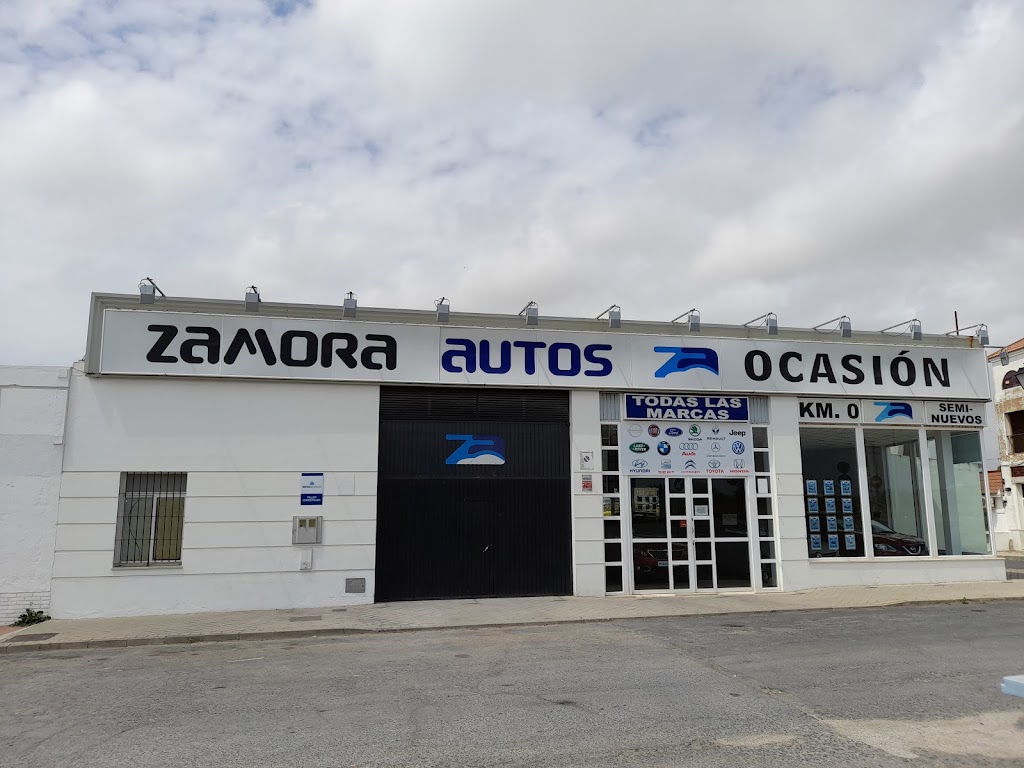 ZAMORA AUTOS RENAULT Y DACIA — Del propietario