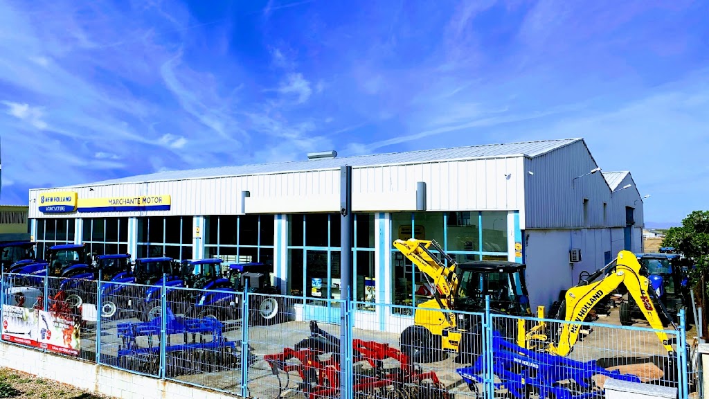 Marchante Motor SL Campo de Criptana